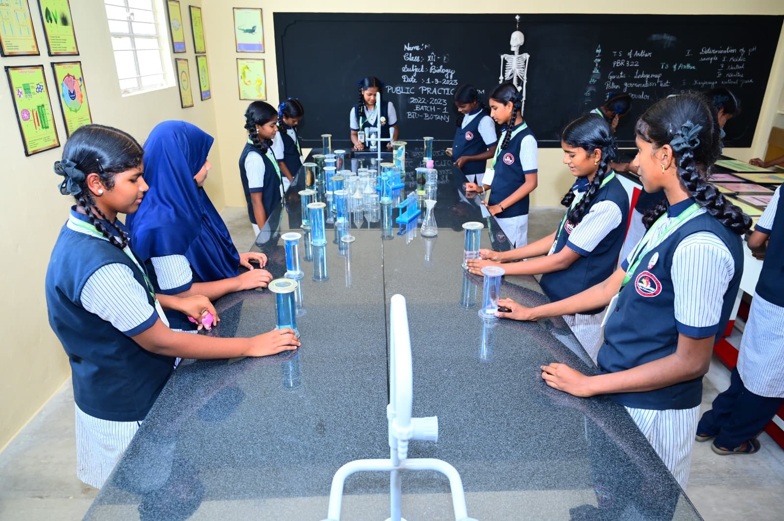 Senior students doing botany practicals
